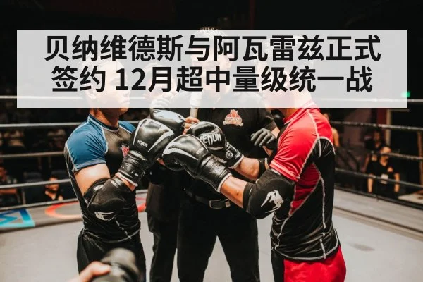 贝纳维德斯与阿瓦雷兹正式签约 12月超中量级统一战